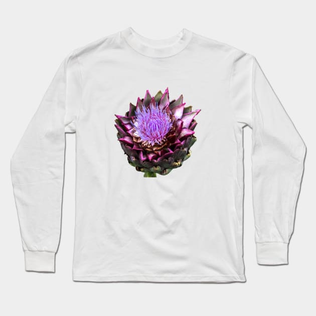 artichoke Long Sleeve T-Shirt by rickylabellevie